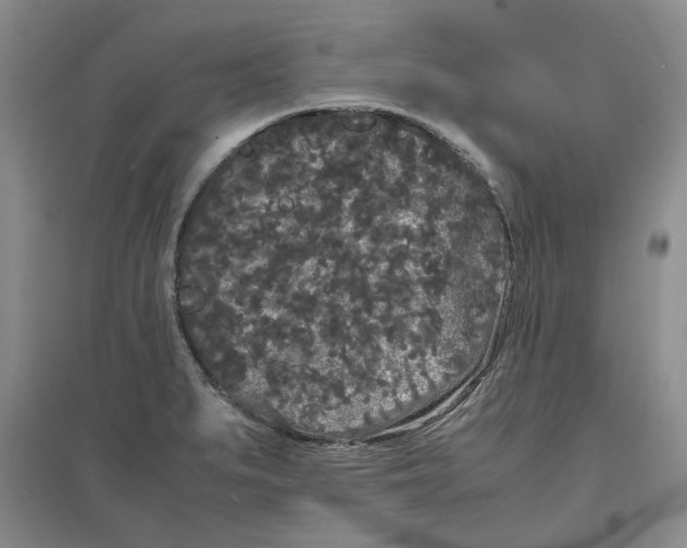 X0000096671279200802261443