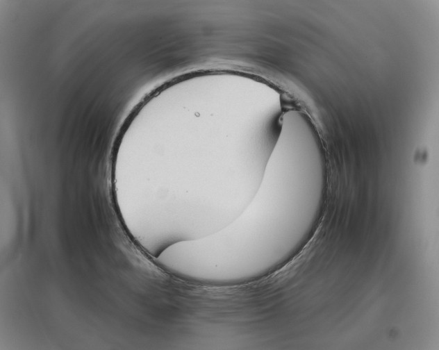 X0000096671280200802261443