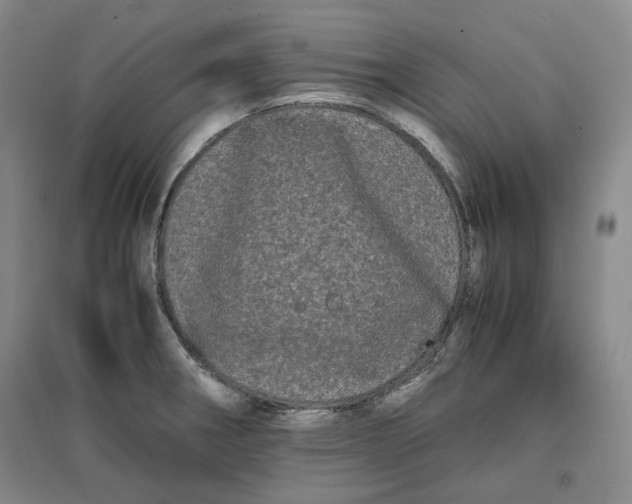 X0000096671282200802261443