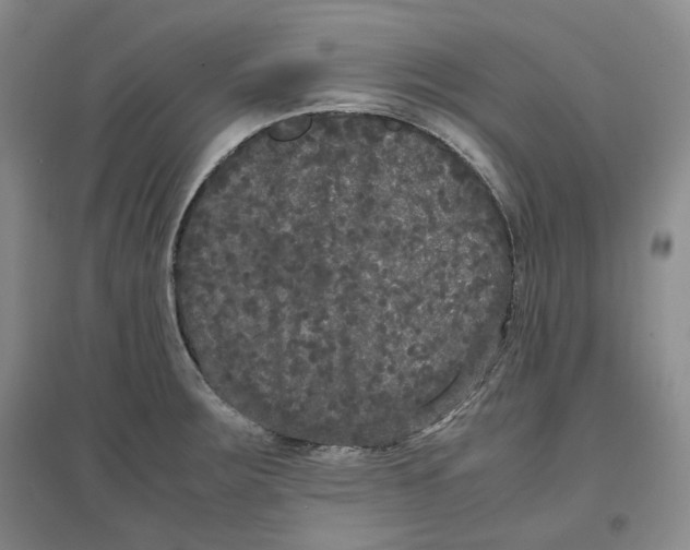 X0000096671283200802261443