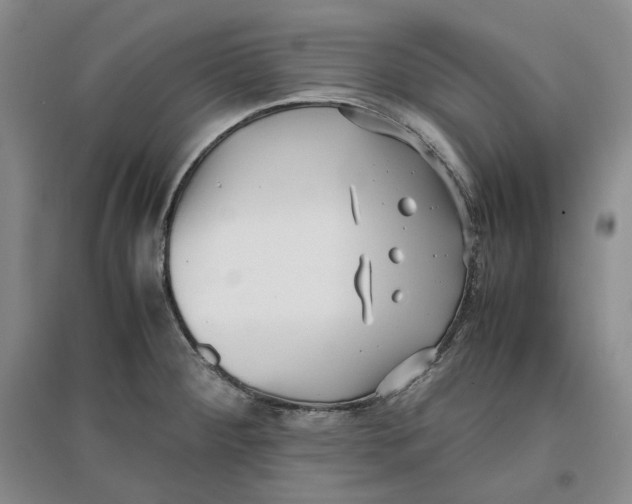 X0000096671284200802261443