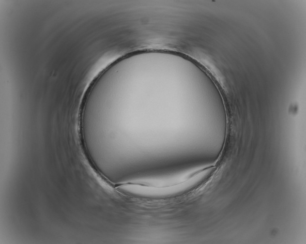 X0000096671285200802261443