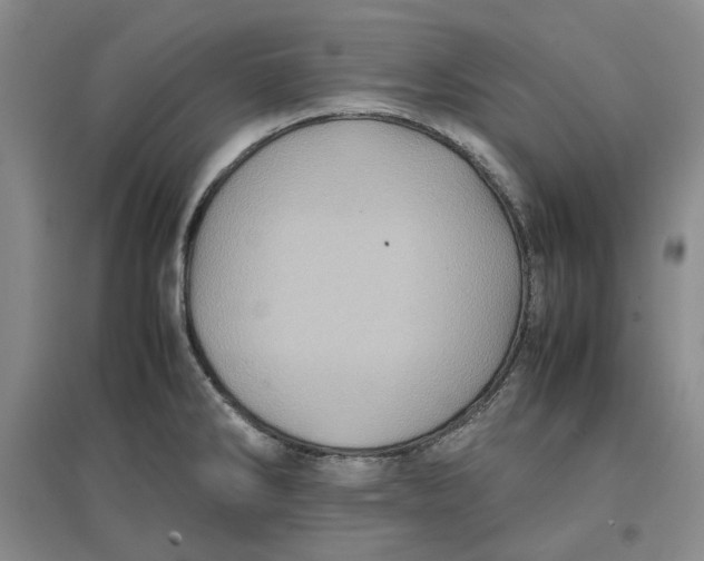 X0000096671286200802261443