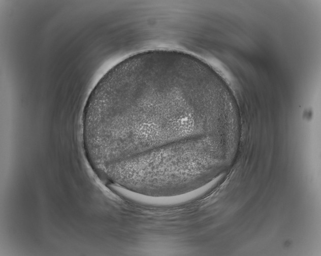 X0000096671287200802261443