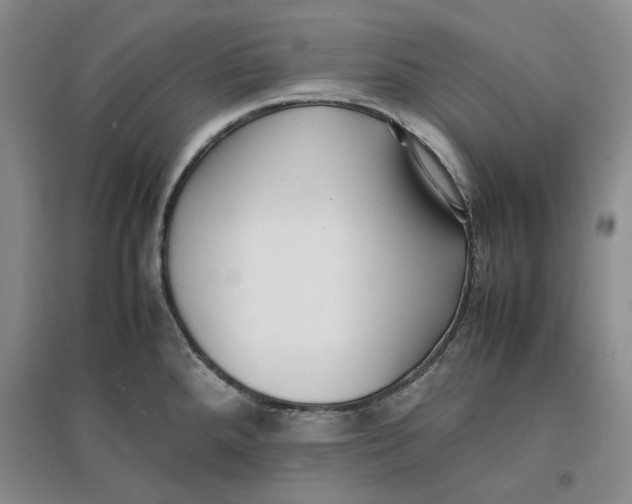 X0000096671288200802261443