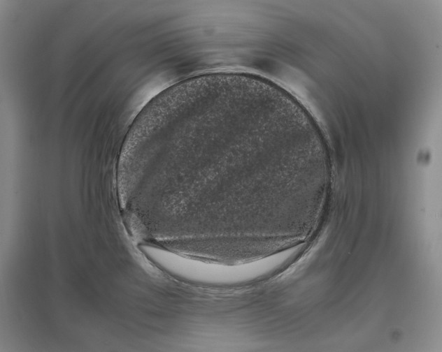 X0000096671289200802261443