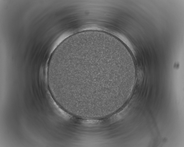 X0000096671290200802261443