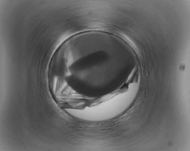 X0000096671291200802261443