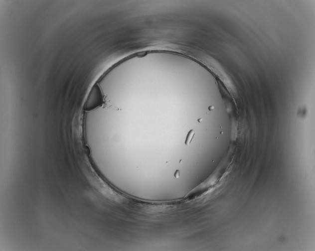 X0000096671292200802261443