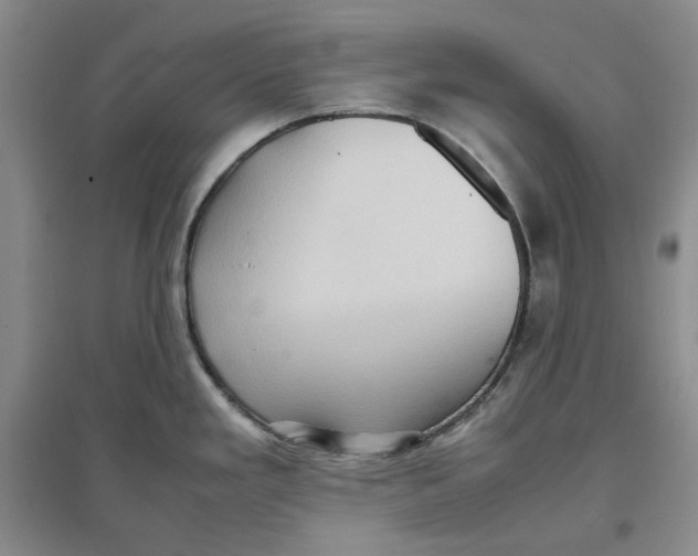 X0000096671293200802261443