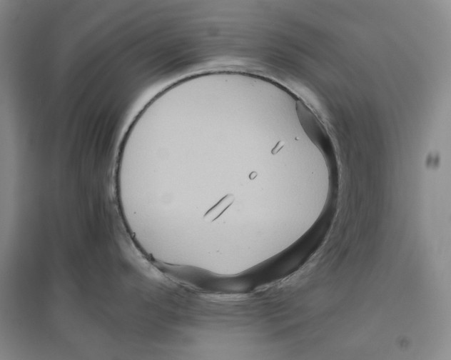 X0000096671296200802261443