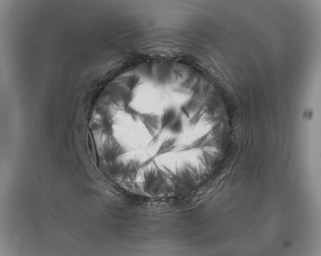 X0000096671297200802261442