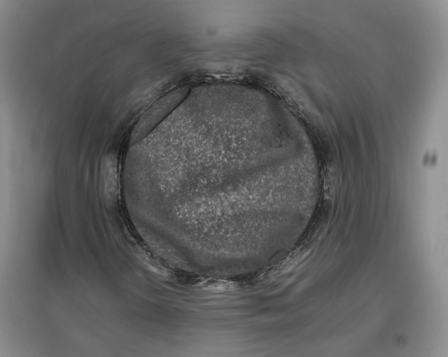 X0000096671298200802261442