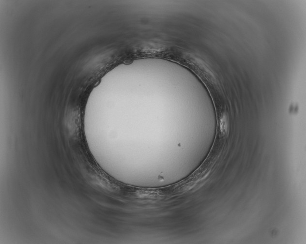 X0000096671299200802261442