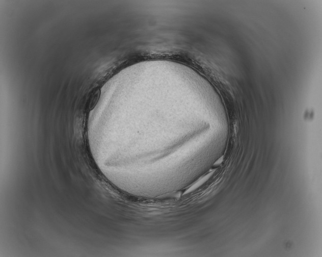 X0000096671300200802261442