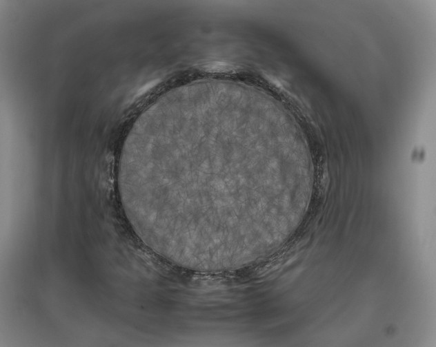 X0000096671301200802261442