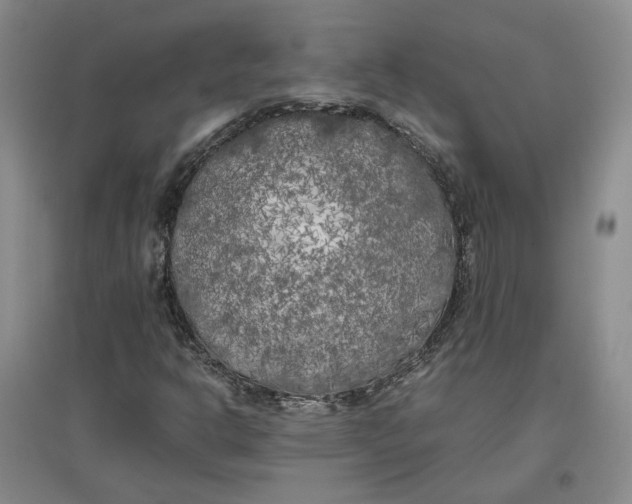 X0000096671302200802261442