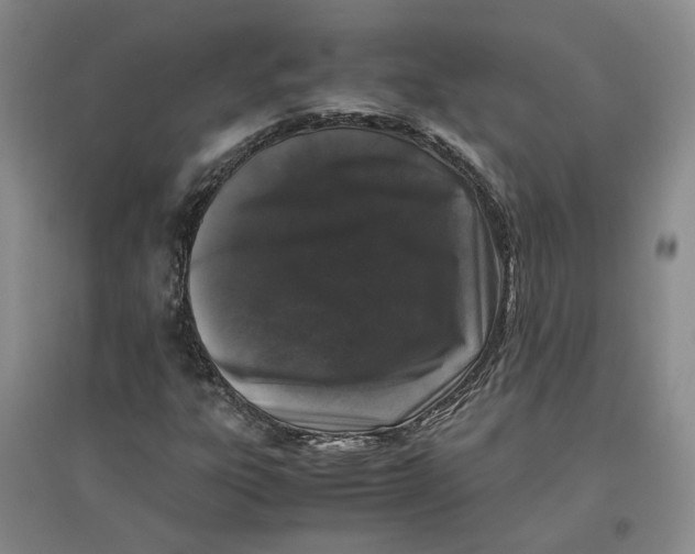 X0000096671303200802261442