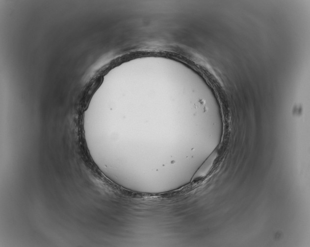 X0000096671304200802261442