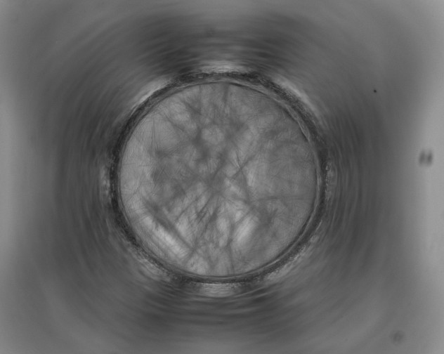 X0000096671305200802261442