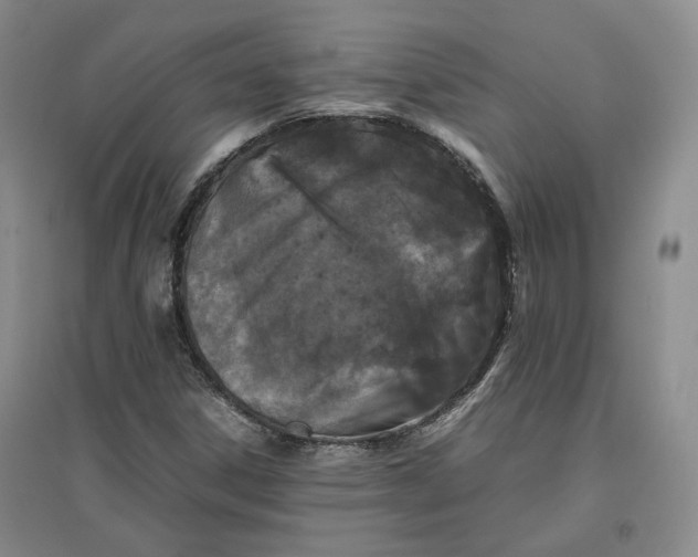 X0000096671306200802261442