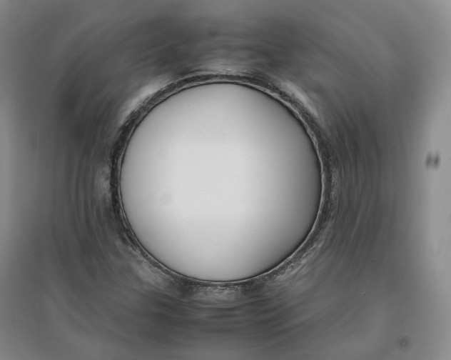 X0000096671307200802261442