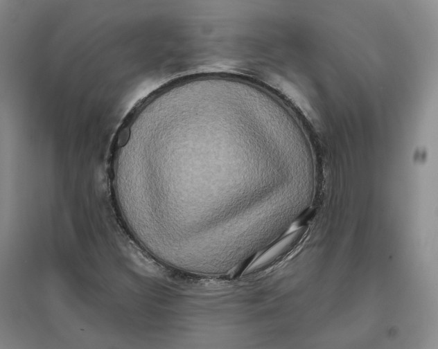 X0000096671308200802261442