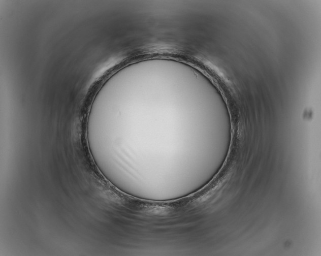 X0000096671309200802261442