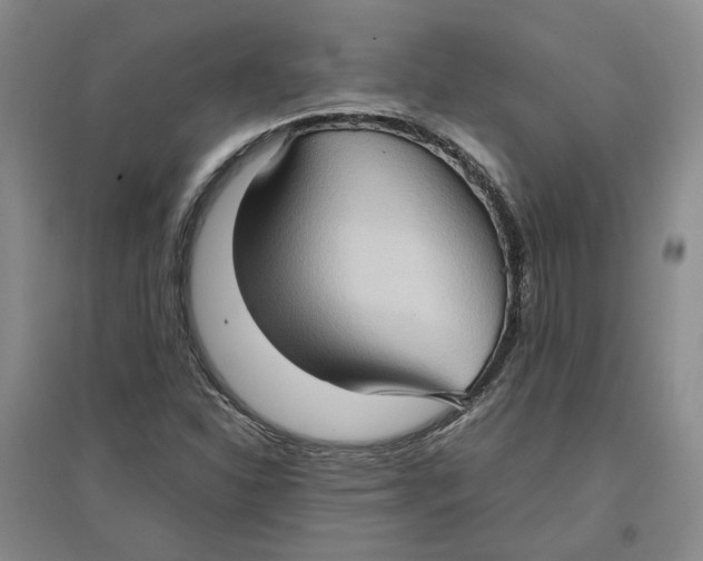 X0000096671310200802261442