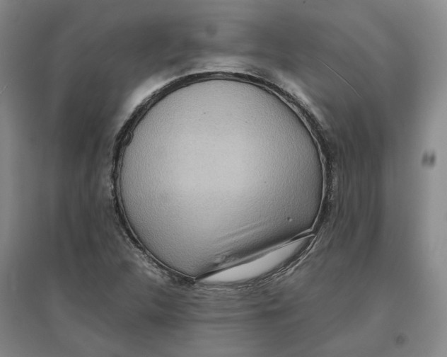 X0000096671312200802261442