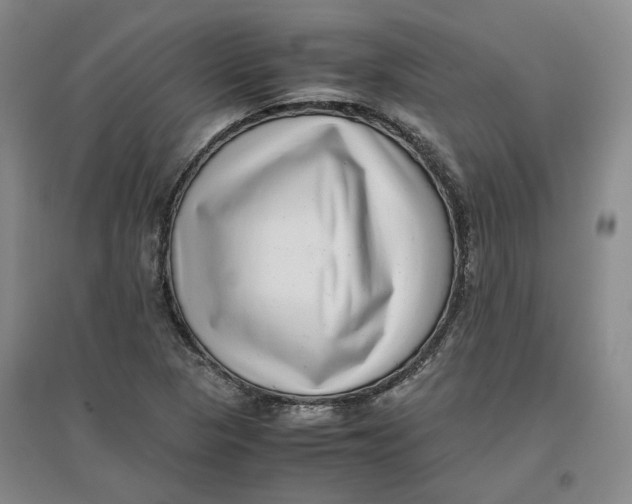 X0000096671313200802261443