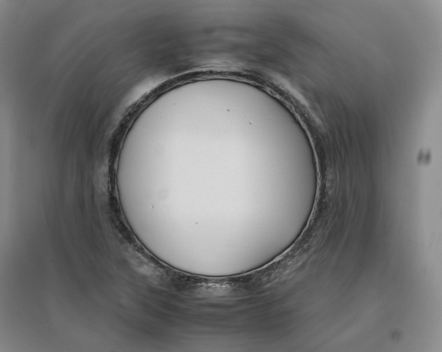 X0000096671315200802261443