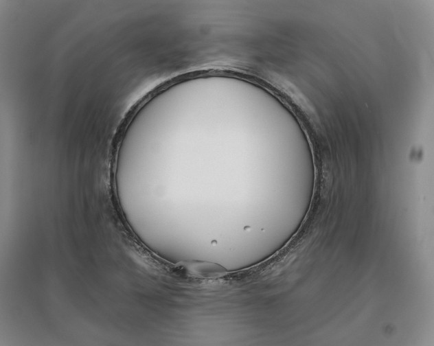 X0000096671316200802261443