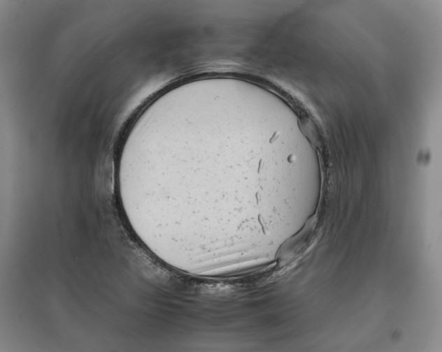 X0000096671317200802261443