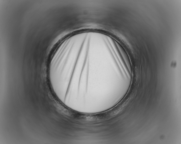 X0000096671318200802261443