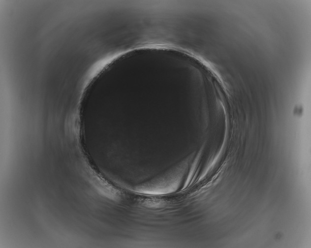 X0000096671319200802261443