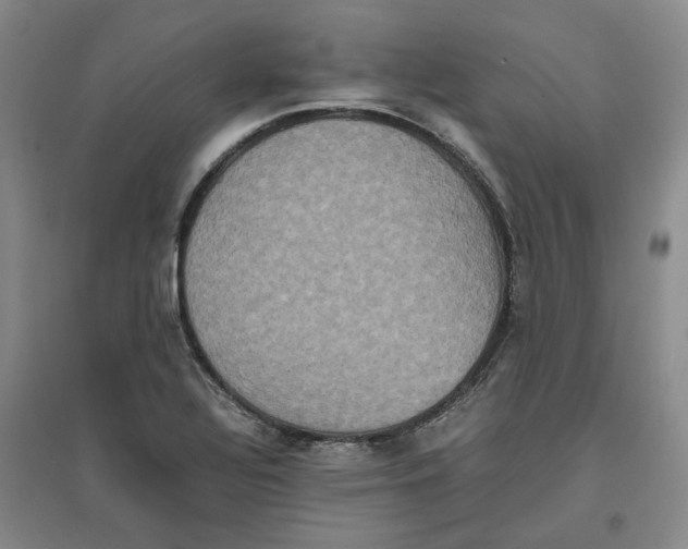 X0000096671320200802261443