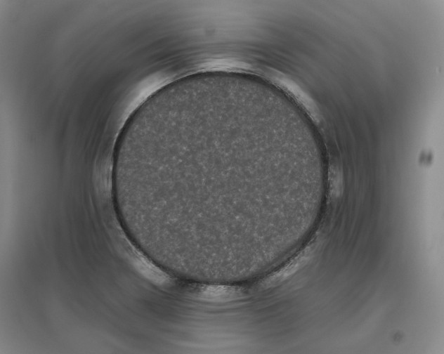 X0000096671322200802261443