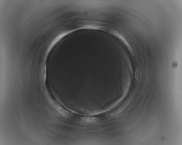 X0000096671323200802261443