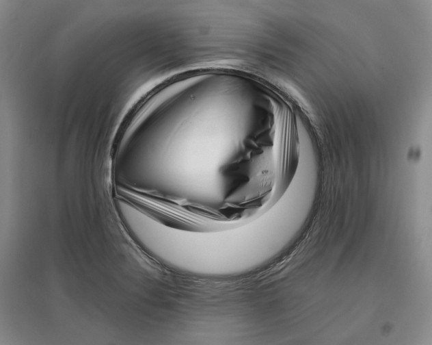 X0000096671324200802261443