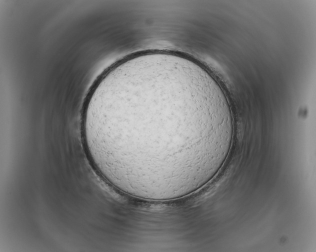 X0000096671326200802261443