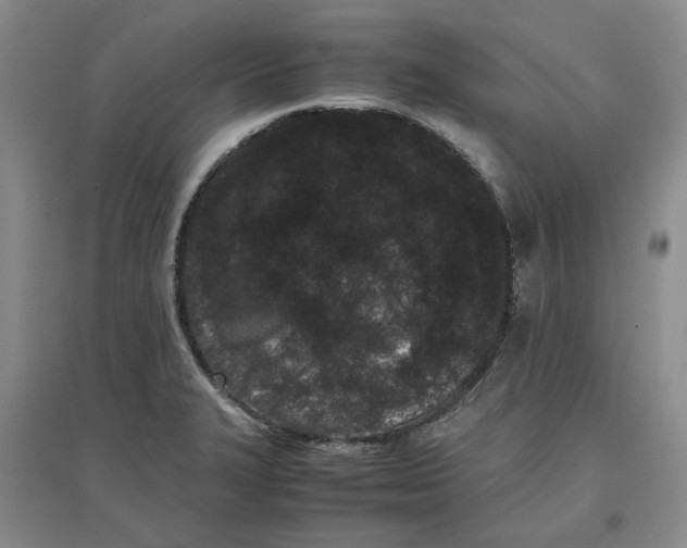 X0000096671327200802261443