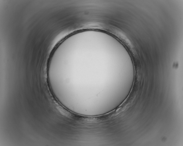 X0000096671328200802261443