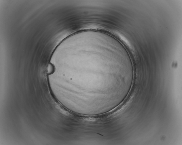 X0000096671329200802261443