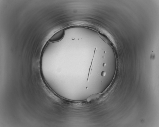 X0000096671330200802261443