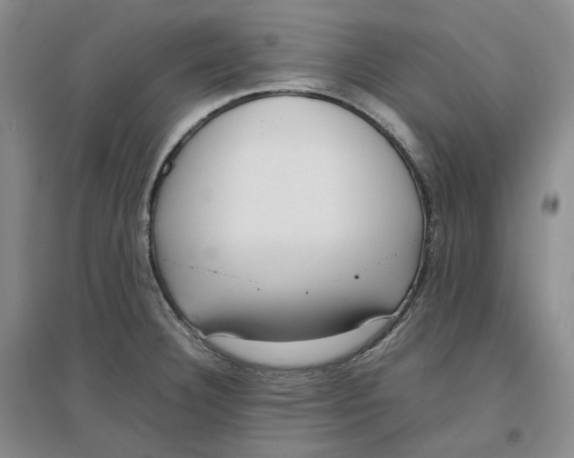 X0000096671332200802261443