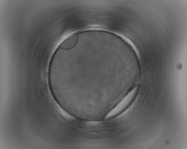 X0000096671333200802261443