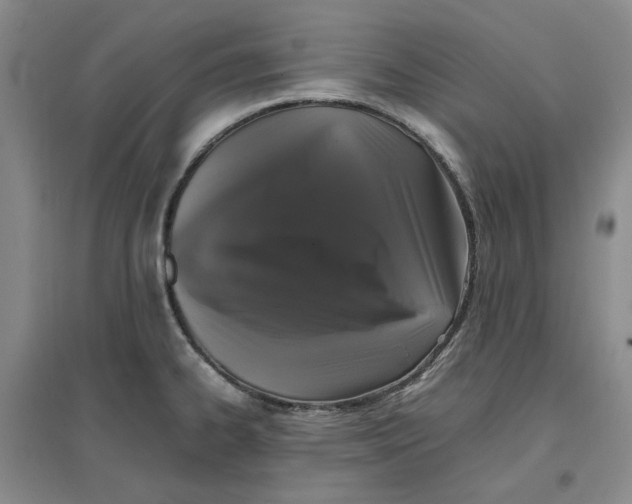 X0000096671334200802261443