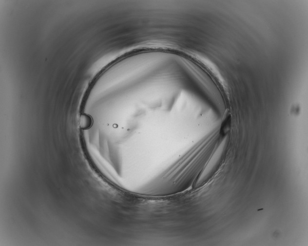 X0000096671335200802261443