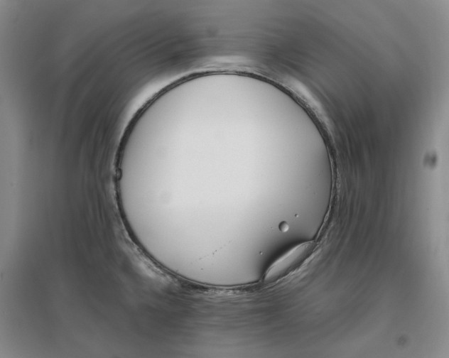 X0000096671336200802261443